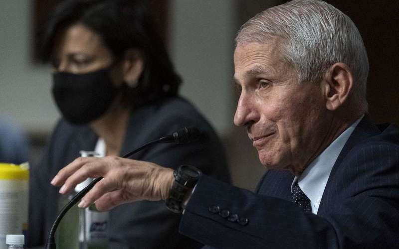 image for Fauci fires back at Cruz over COVID claims: ‘I should be prosecuted? What happened on Jan. 6, senator?’