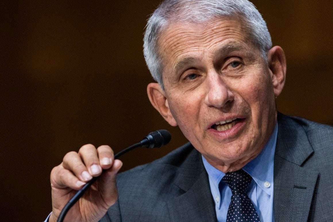 image for Fauci: ’I’m going to be saving lives and they're going to be lying’