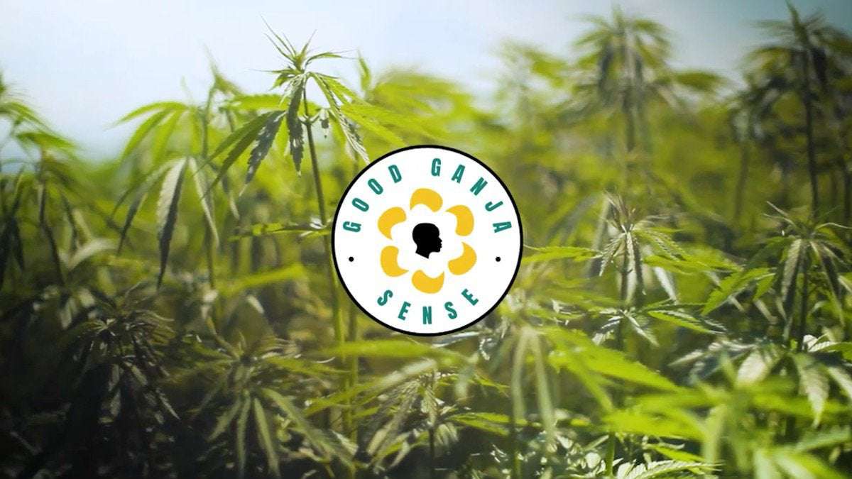 image for Jamaican Government Launches Campaign About How Great Weed Is