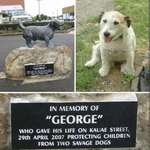 image for George, tiny but a brave dog that gave his life to save five children from two pit bull attacks!