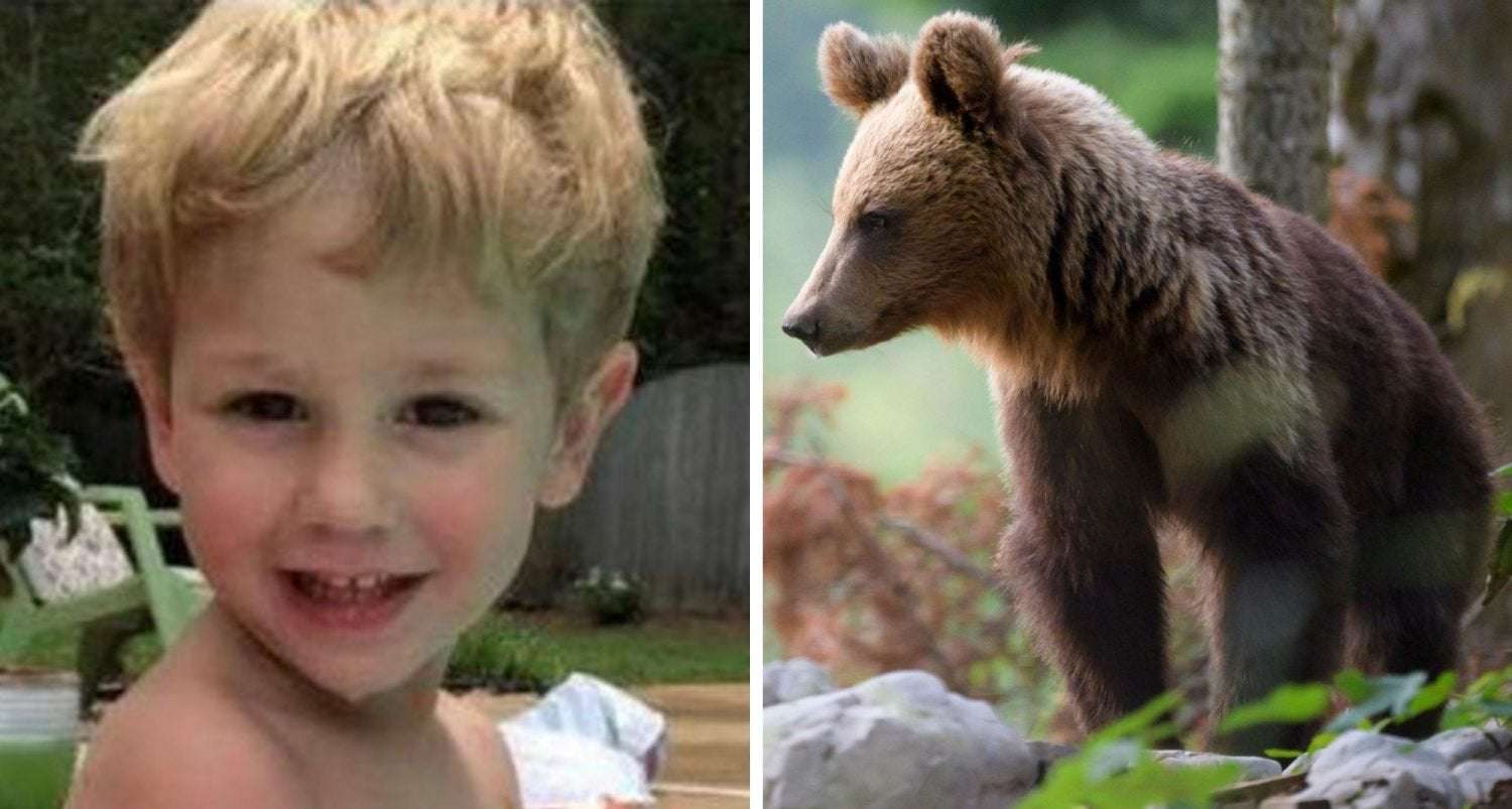 image for The 3-Year-Old Boy Who Survived 2 Freezing Nights Says That A Bear Helped Keep Him Warm