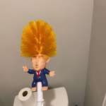 image for This toilet brush