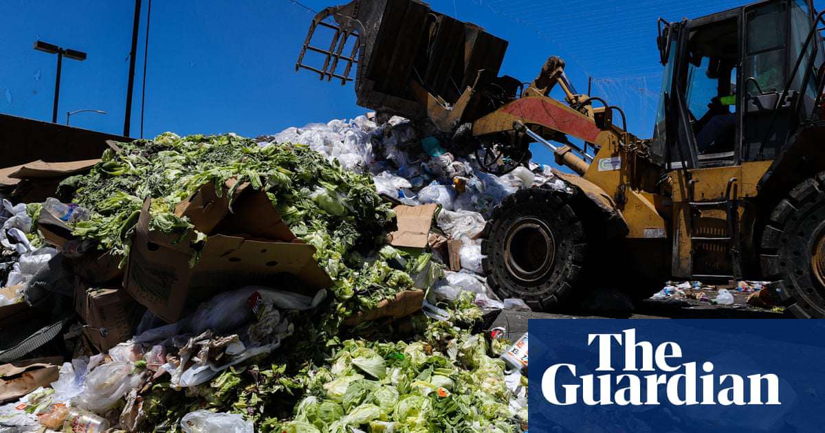 image for California tackles food waste with largest recycling program in US