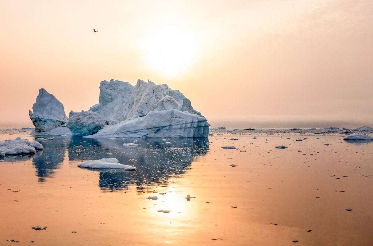image for The Arctic is warming four times faster than the rest of the world