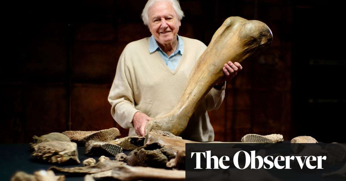 image for Five ice-age mammoths unearthed in Cotswolds after 220,000 years