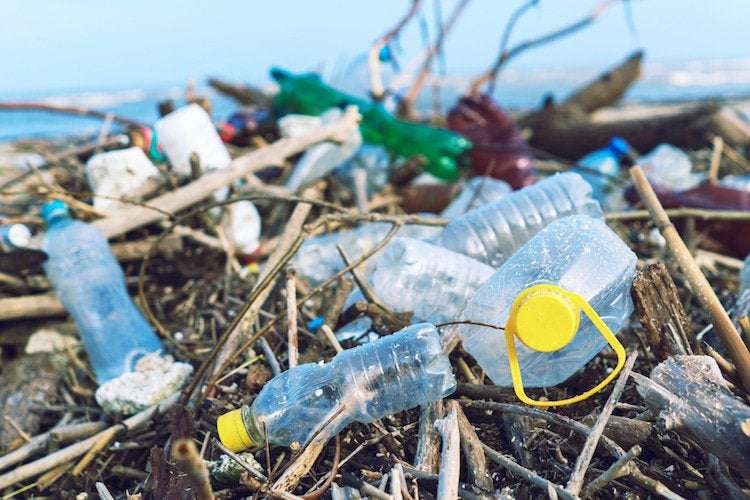 image for Government of Canada moving forward with banning single-use plastics