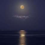image for Full Moon over the ocean, was worth stay awake the whole night