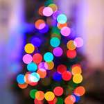 image for Photographed the Christmas tree as out of focus as I could