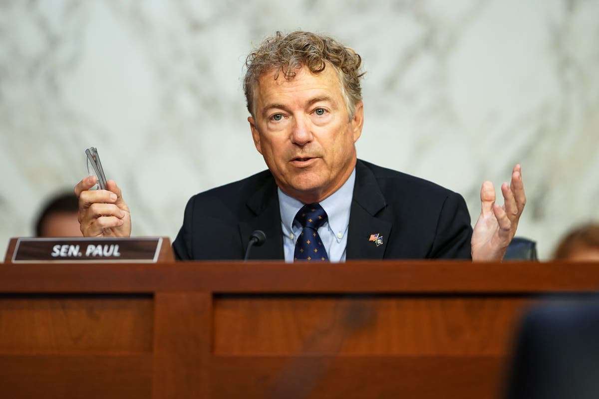 image for Rand Paul mocked for saying Democrats stealing elections using completely legal methods