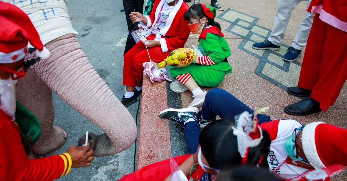 image for Elephant Santas pass out face masks, hand gel in Thai school tradition