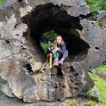image for Me and my pup inside a fallen giant redwood tree