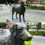 image for Someone gave this dog statue a tennis ball