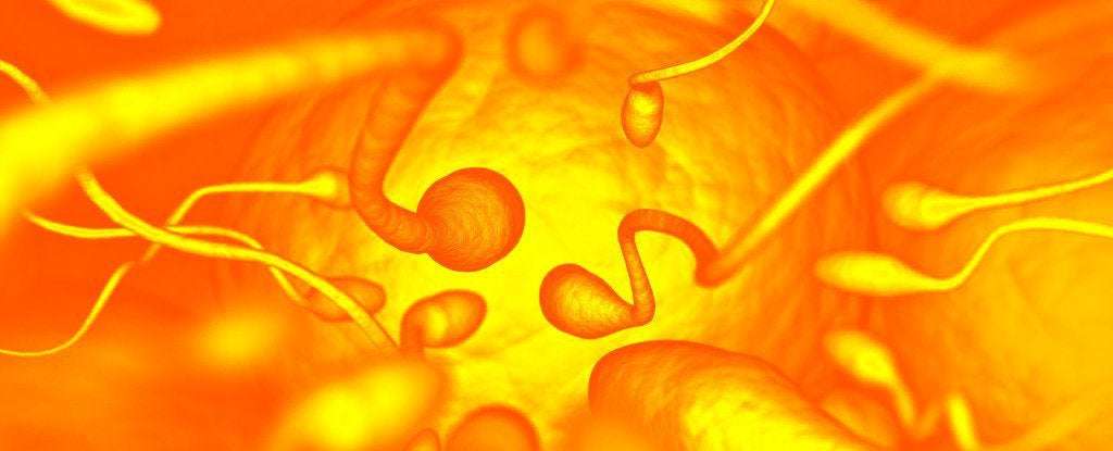 image for Heating Up Testicles With Nanoparticles Can Work as Male Contraception. Here's How