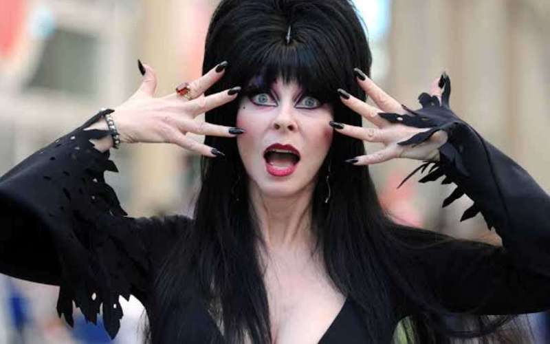 image for Elvira actress Cassandra Peterson: ‘Losing 11,000 horny old men as followers after coming out’ is no big deal