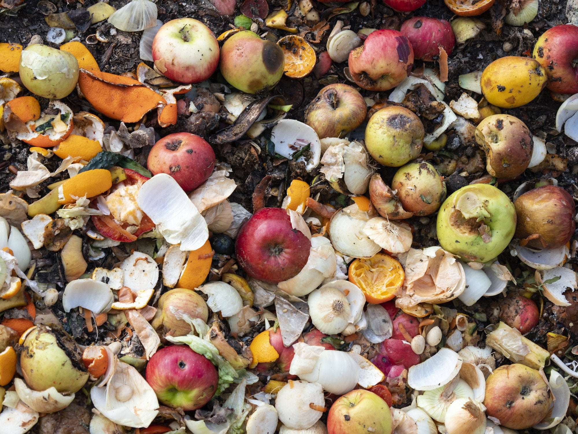 image for New York Food Waste Recycling Law Goes Into Effect