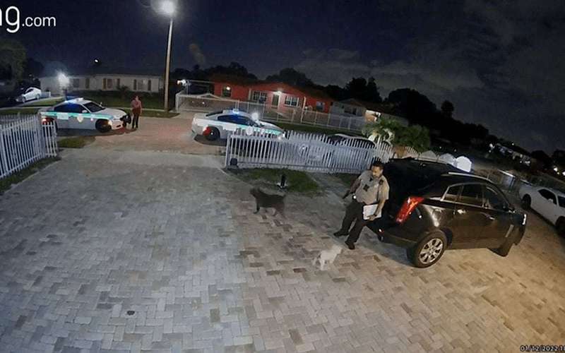 image for Police Officer Kills Dog in Miami-Dade After Barking Complaint