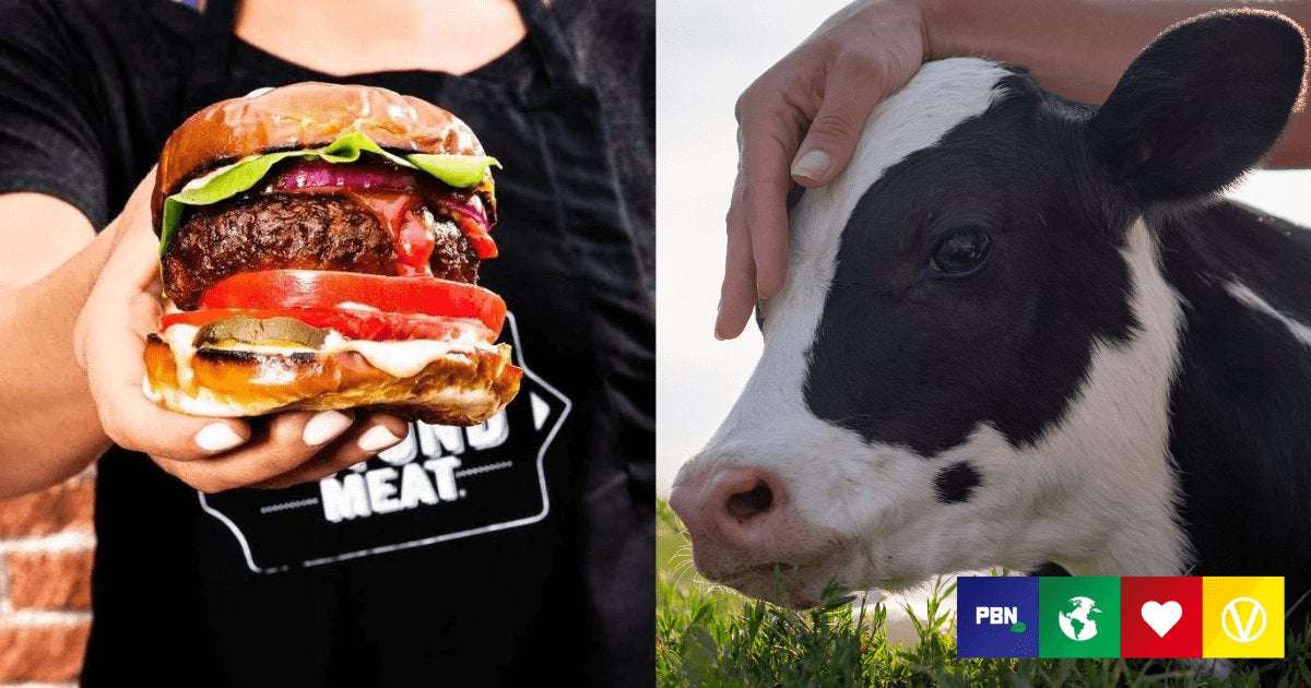 image for Beyond Meat And Impossible Foods Helped Save Nearly 1 Million Animals In The US Last Year