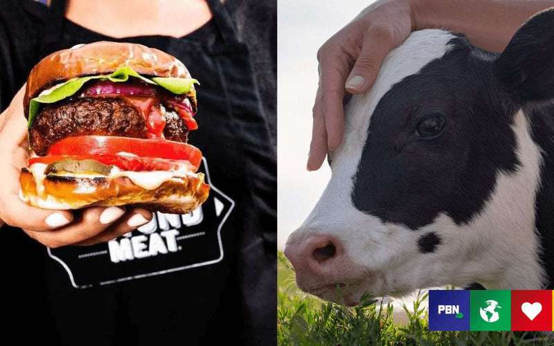 image for Beyond Meat And Impossible Foods Helped Save Nearly 1 Million Animals In The US Last Year