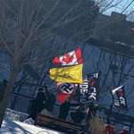 image for Nazi flag during freedom convoy protest at Parliament Hill, Ottawa, Canada.