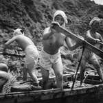 image for Japanese pearl fisherwomen, 1948