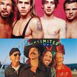 image for Red Hot Chili Peppers 1990/Today