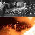 image for Book burning in 1933 and again in 2022