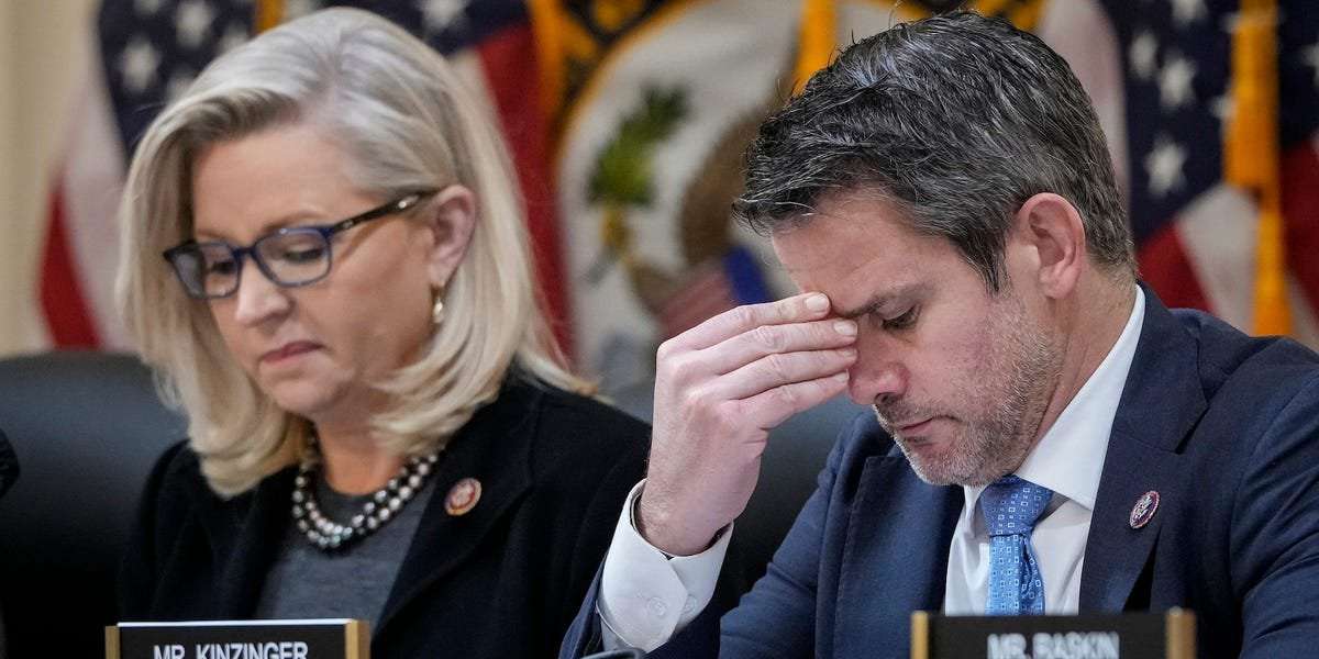 image for GOP Rep. Adam Kinzinger said the RNC's vote to censure him and fellow GOP Rep. Liz Cheney shows how 'frigging crazy the Republican Party has become'