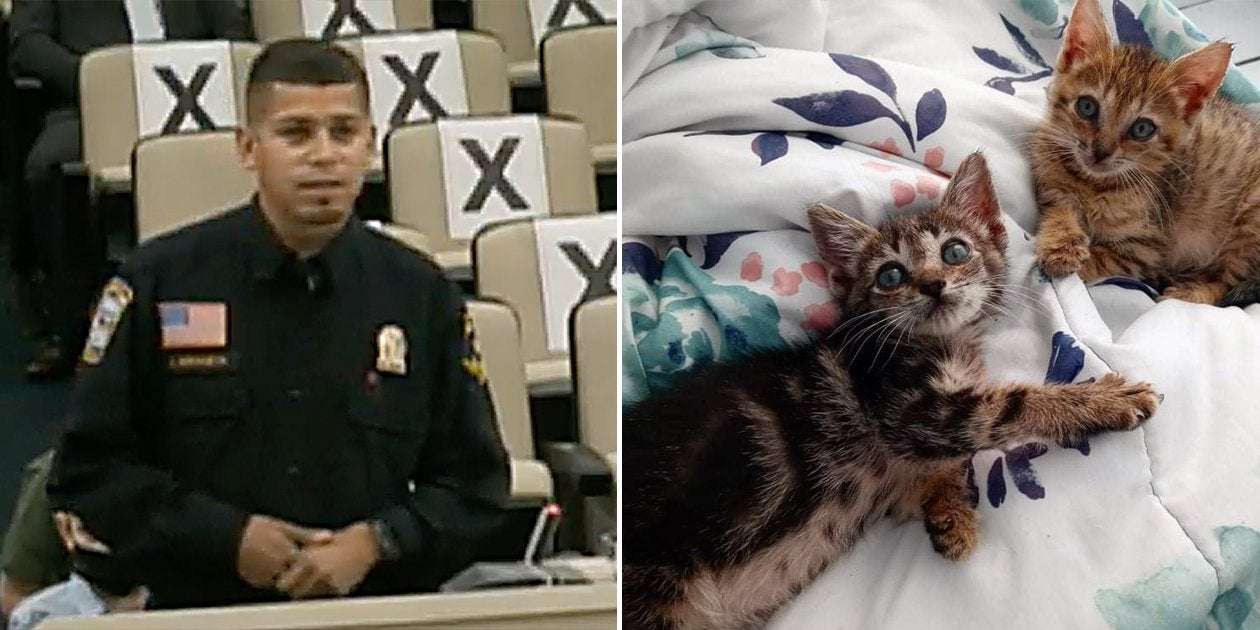 image for Laredo, TX Animal Control Officer Recognized for Saving 45 Cats from Fire