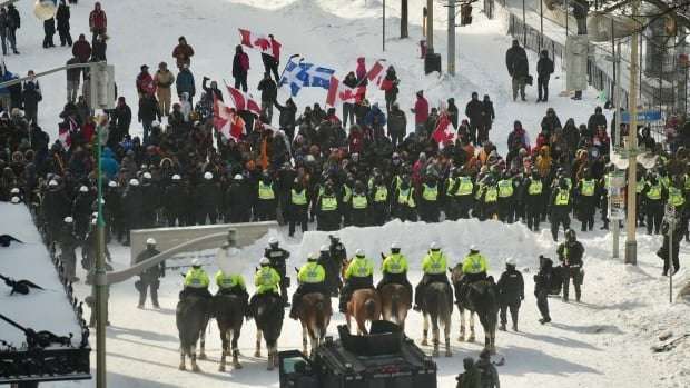 image for False trampling death rumours at Friday's Ottawa protests a sign of misinformation campaign, police say
