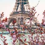 image for Spring in Paris (OC)