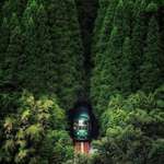 image for Train comes out of the tunnel in Oita, Japan