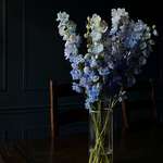 image for ITAP of delphiniums in natural light.