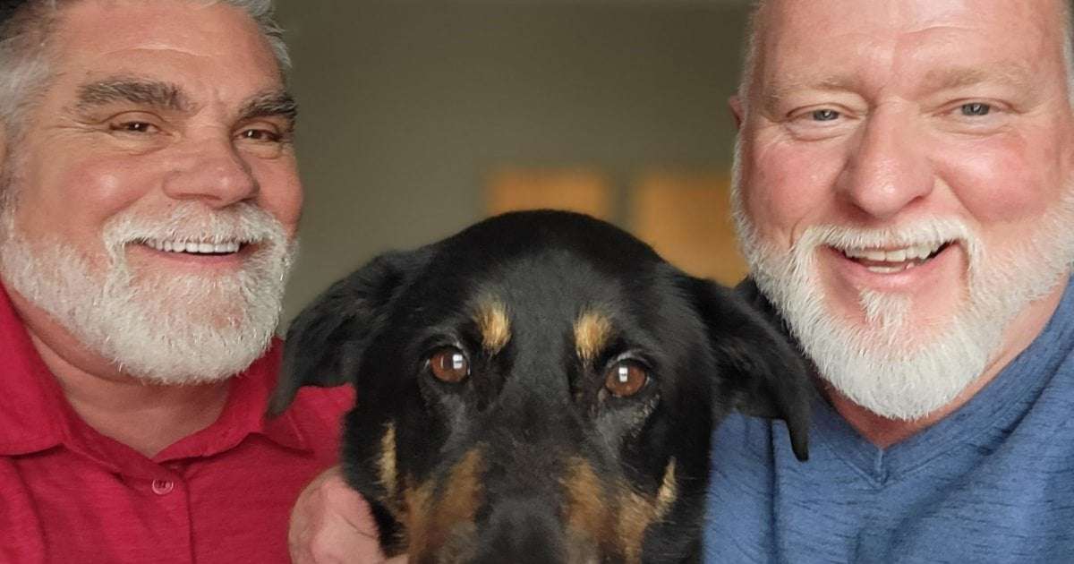 image for Dog abandoned for being 'gay' is adopted by same-sex couple