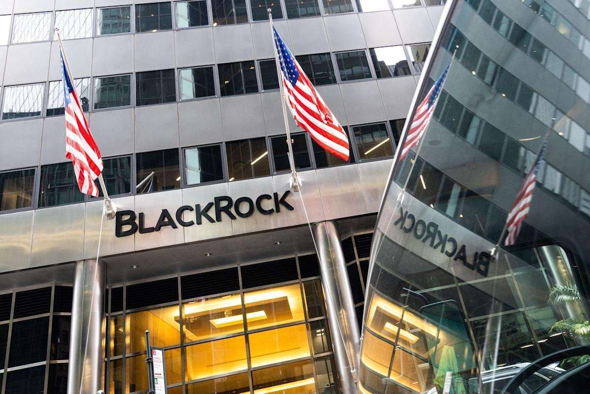 image for BlackRock President Says ‘Entitled Generation’ Now Learning About Shortages