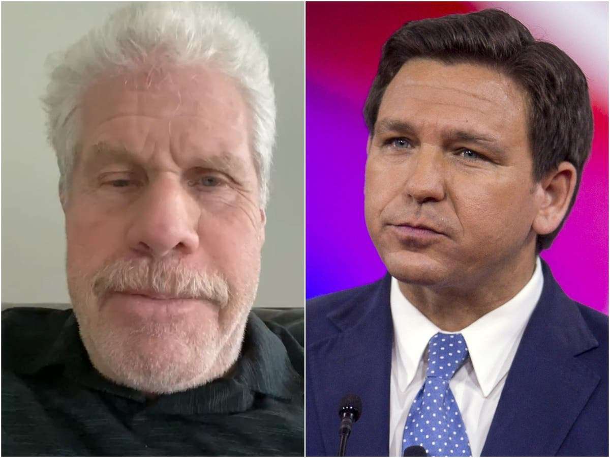 image for Ron Perlman tears into Florida Governor Ron DeSantis for signing ‘Don’t Say Gay’ bill: ‘F***ing Nazi pig’