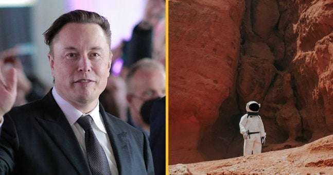 image for Elon Musk says 'almost anyone' can afford $100,000 ticket to Mars