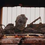image for Highway of Death, Gulf War 1991 Photo: Ken Jarecke