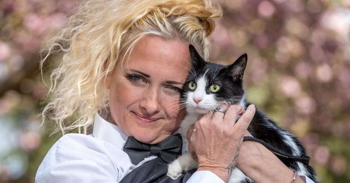 image for Woman marries pet cat in bid to stop landlords separating them