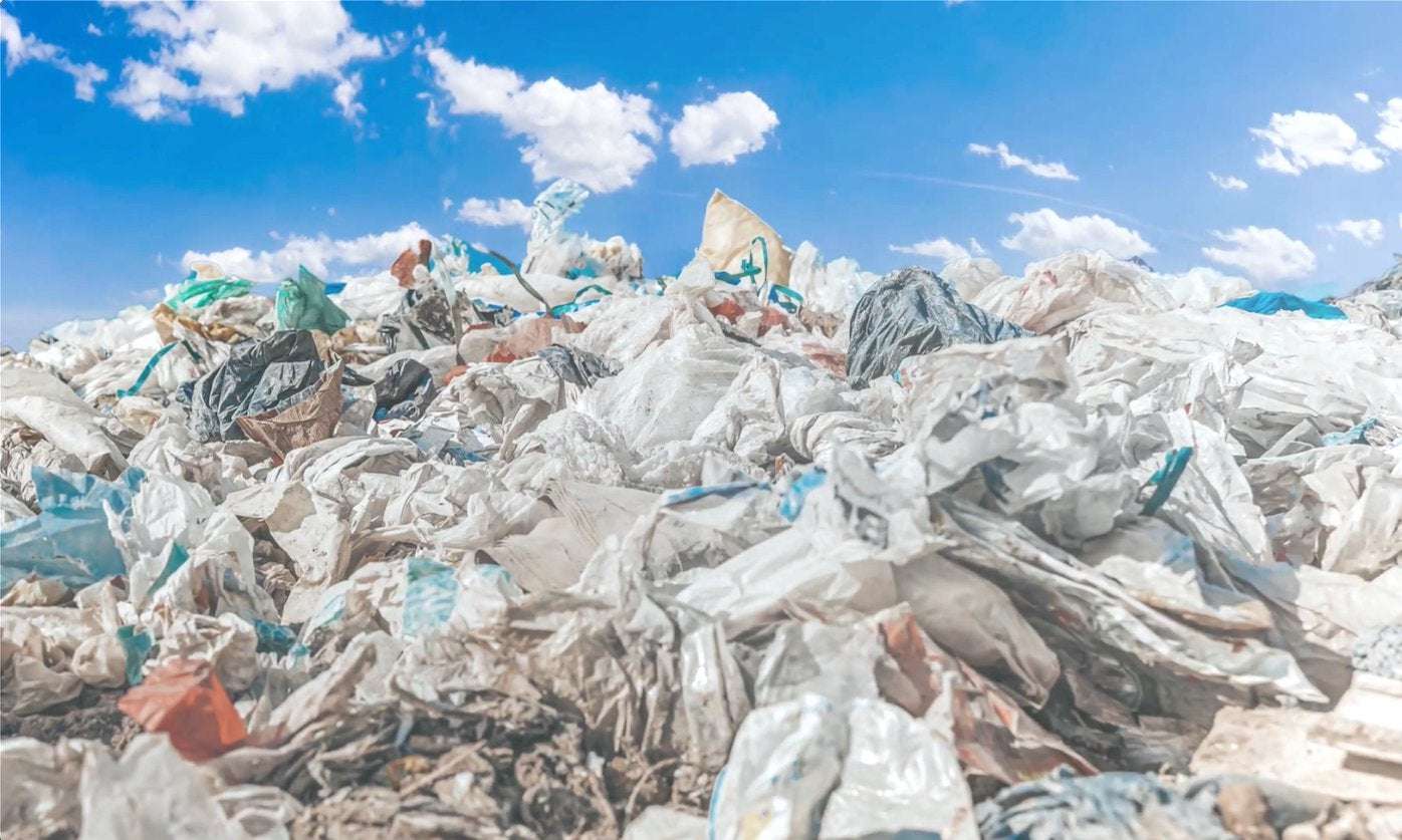 image for Plastic-eating Enzyme Could Eliminate Billions of Tons of Landfill Waste
