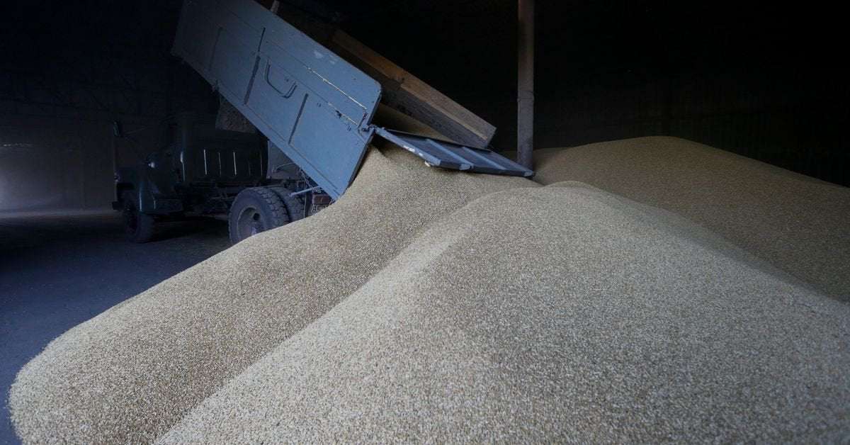 image for Ukraine says Russia stole 'several hundred thousand tonnes' of grain