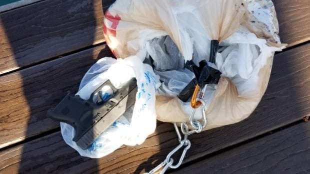 image for Drone carrying bag of handguns from United States to Canada intercepted by tree