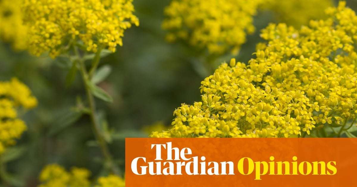 image for If we can farm metal from plants, what else can we learn from life on Earth? | James Bridle