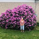image for My adorable grandma standing under a rhododendron her mom planted over 45 years ago for her [OC]