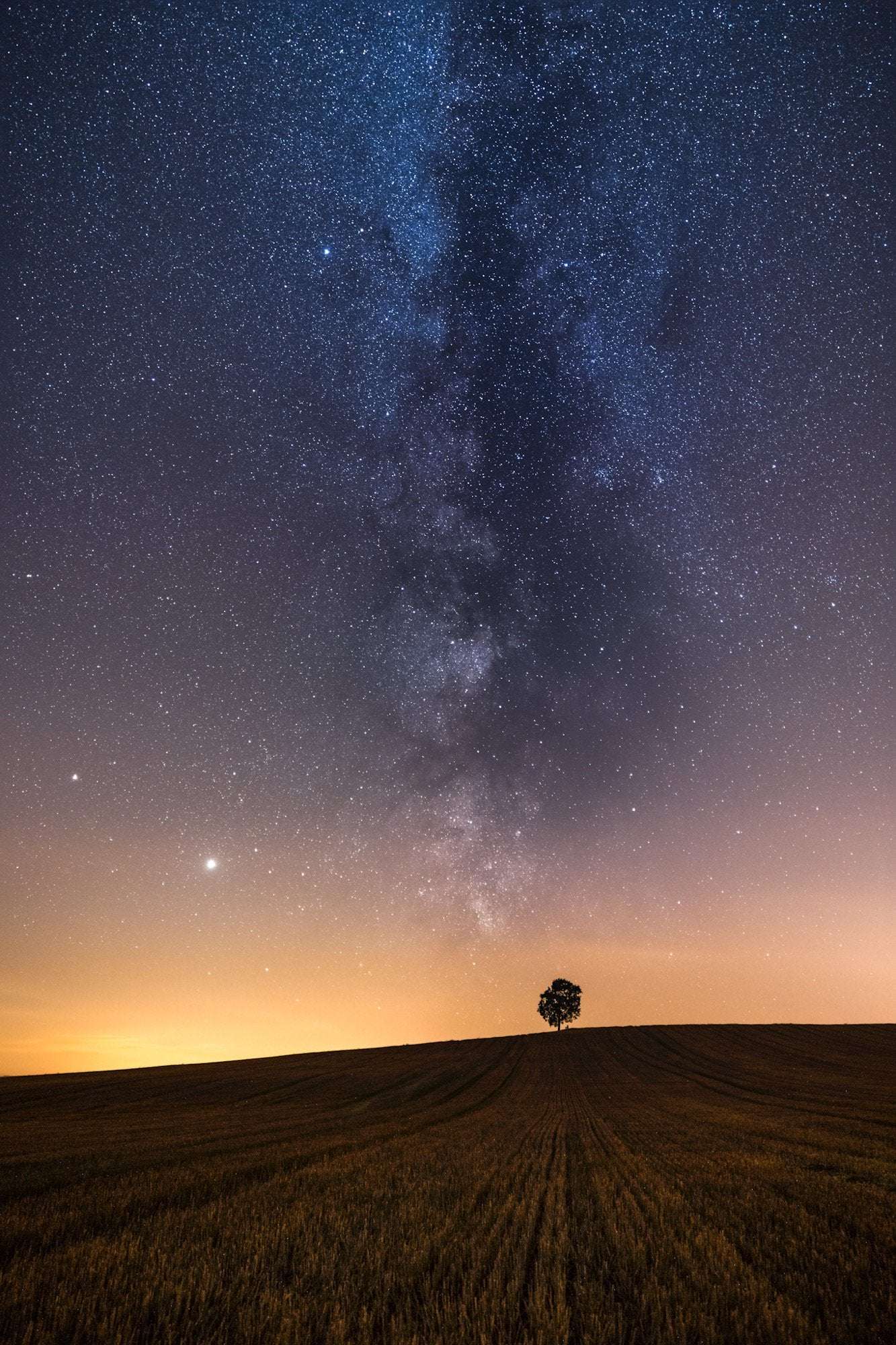 image showing ITAP of a lone tree under the stars
