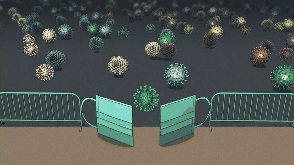 image for Viruses that were on hiatus during Covid are back — and behaving in unexpected ways