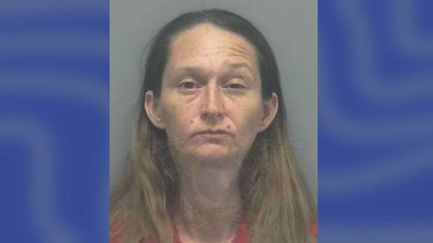 image for Police: Florida toddler in diaper walks pit bull alone; mom charged with neglect