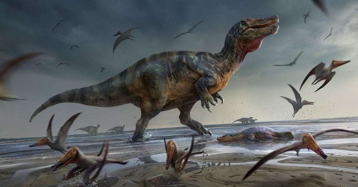 image for Europe's largest meat-eating dinosaur found on Isle of Wight