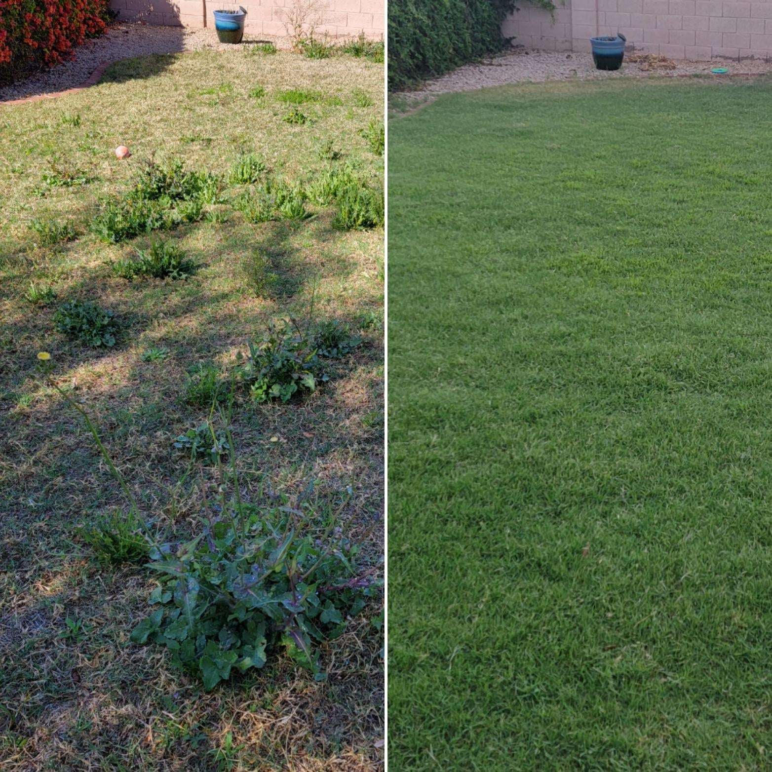 image showing [OC] I'm a first time homeowner and finally fixed up my shitty lawn! (Still lots to do -_-)