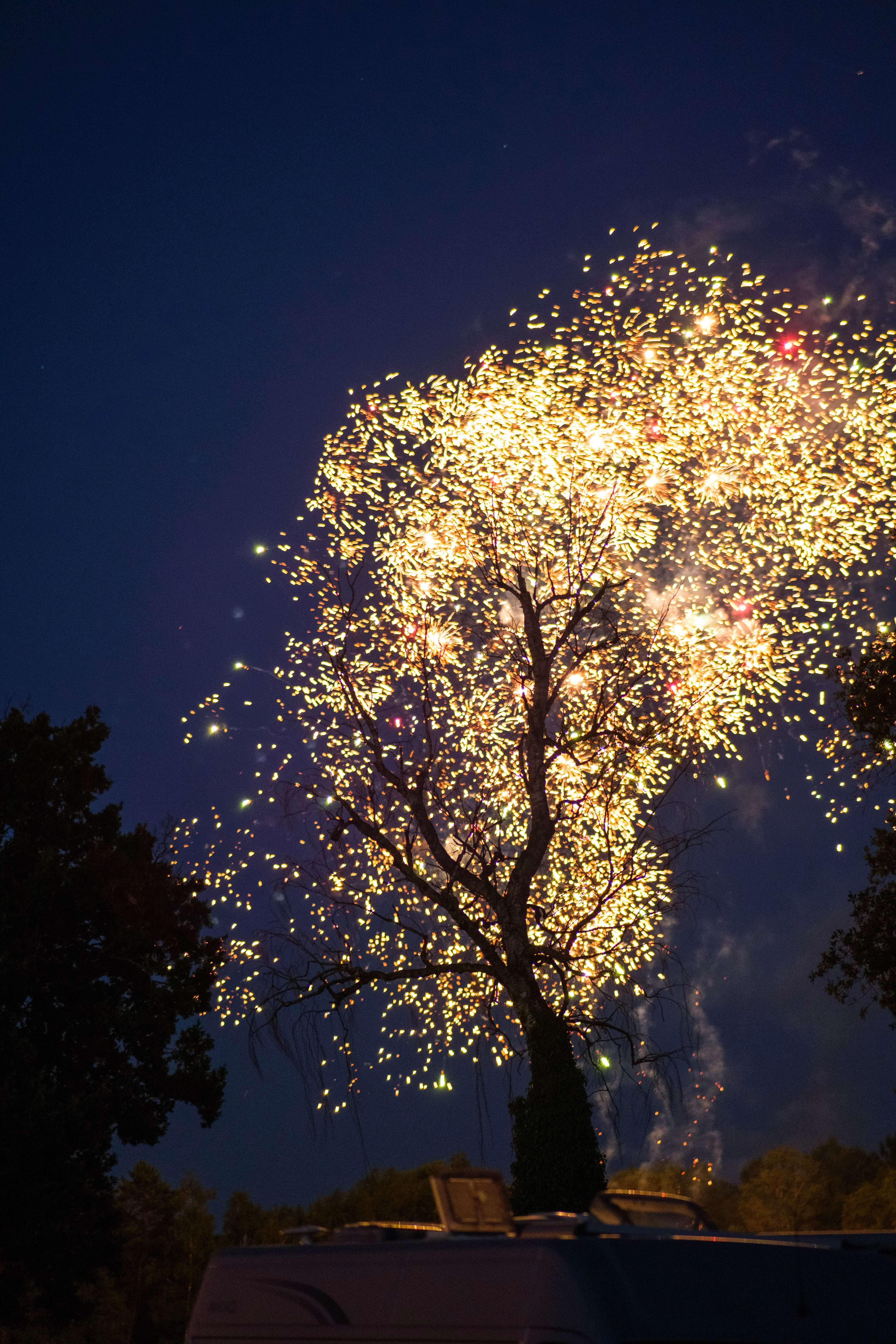 image showing ITAP of a firework behind an old tree