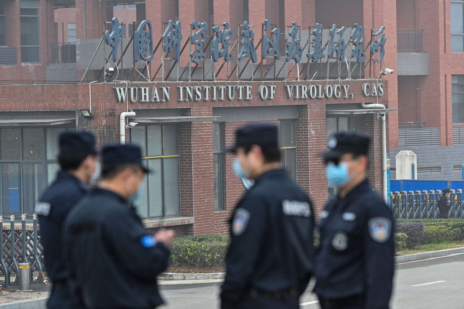 image for China Says COVID Might Have Originated in U.S., Calls Wuhan Lab Theory Lies